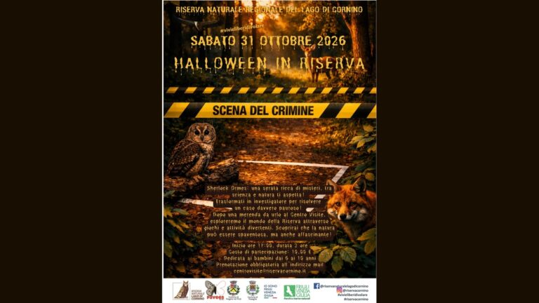 Immagine ufficiale di Halloween in Riserva 2026 a Forgaria nel Friuli