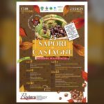 Locandina ufficiale della 25ª Sapori di Castagne 2026 a Magnano in Riviera