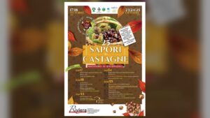 Locandina ufficiale della 25ª Sapori di Castagne 2026 a Magnano in Riviera